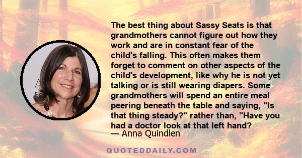 The best thing about Sassy Seats is that grandmothers cannot figure out how they work and are in constant fear of the child's falling. This often makes them forget to comment on other aspects of the child's development, 