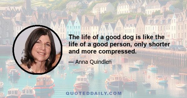 The life of a good dog is like the life of a good person, only shorter and more compressed.