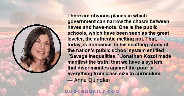 There are obvious places in which government can narrow the chasm between haves and have-nots. One is the public schools, which have been seen as the great leveler, the authentic melting pot. That, today, is nonsense.