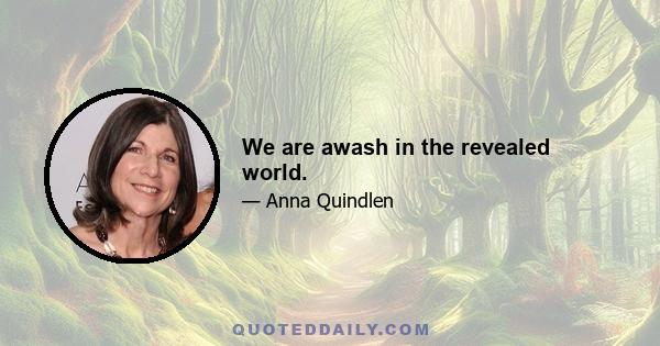 We are awash in the revealed world.