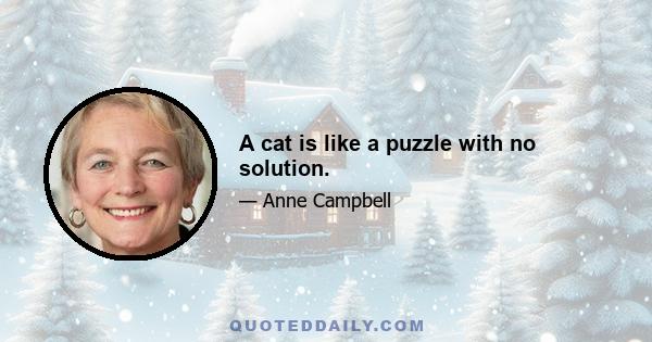 A cat is like a puzzle with no solution.