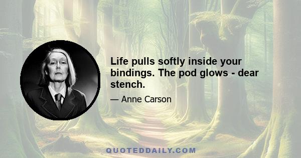 Life pulls softly inside your bindings. The pod glows - dear stench.