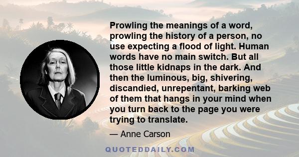 Prowling the meanings of a word, prowling the history of a person, no use expecting a flood of light. Human words have no main switch. But all those little kidnaps in the dark. And then the luminous, big, shivering,