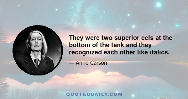 They were two superior eels at the bottom of the tank and they recognized each other like italics.