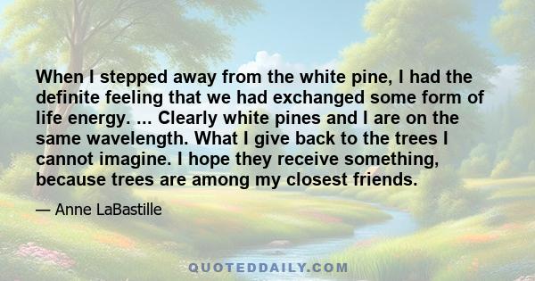 When I stepped away from the white pine, I had the definite feeling that we had exchanged some form of life energy. ... Clearly white pines and I are on the same wavelength. What I give back to the trees I cannot