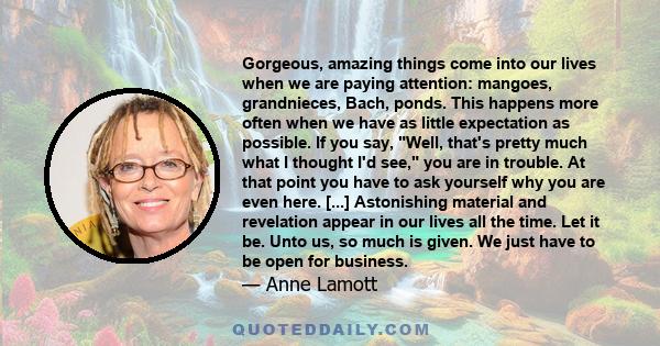 Gorgeous, amazing things come into our lives when we are paying attention: mangoes, grandnieces, Bach, ponds. This happens more often when we have as little expectation as possible. If you say, Well, that's pretty much