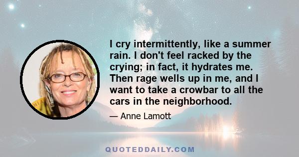 I cry intermittently, like a summer rain. I don't feel racked by the crying; in fact, it hydrates me. Then rage wells up in me, and I want to take a crowbar to all the cars in the neighborhood.