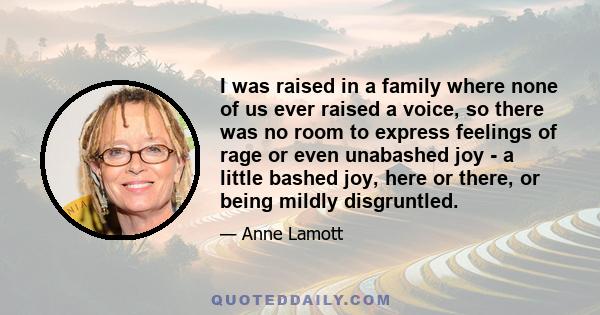 I was raised in a family where none of us ever raised a voice, so there was no room to express feelings of rage or even unabashed joy - a little bashed joy, here or there, or being mildly disgruntled.