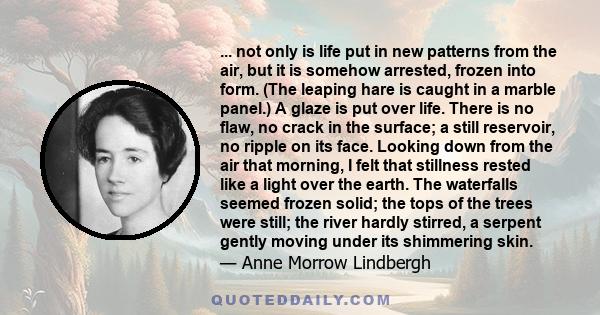 ... not only is life put in new patterns from the air, but it is somehow arrested, frozen into form. (The leaping hare is caught in a marble panel.) A glaze is put over life. There is no flaw, no crack in the surface; a 