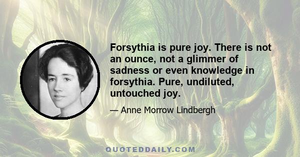 Forsythia is pure joy. There is not an ounce, not a glimmer of sadness or even knowledge in forsythia. Pure, undiluted, untouched joy.