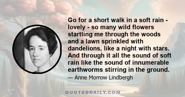 Go for a short walk in a soft rain - lovely - so many wild flowers startling me through the woods and a lawn sprinkled with dandelions, like a night with stars. And through it all the sound of soft rain like the sound