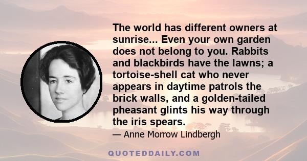 The world has different owners at sunrise... Even your own garden does not belong to you. Rabbits and blackbirds have the lawns; a tortoise-shell cat who never appears in daytime patrols the brick walls, and a