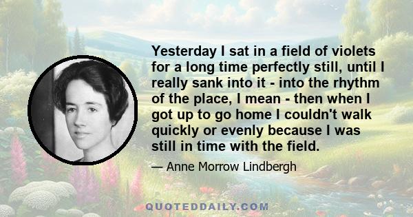 Yesterday I sat in a field of violets for a long time perfectly still, until I really sank into it - into the rhythm of the place, I mean - then when I got up to go home I couldn't walk quickly or evenly because I was