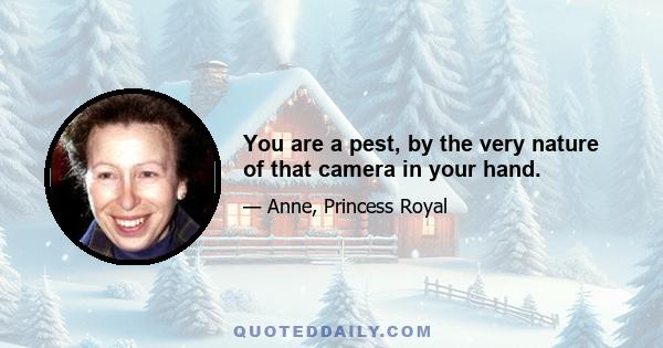 You are a pest, by the very nature of that camera in your hand.