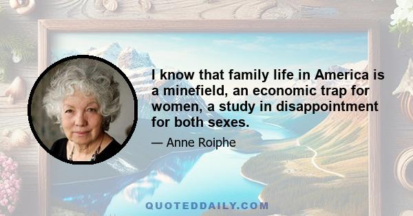 I know that family life in America is a minefield, an economic trap for women, a study in disappointment for both sexes.