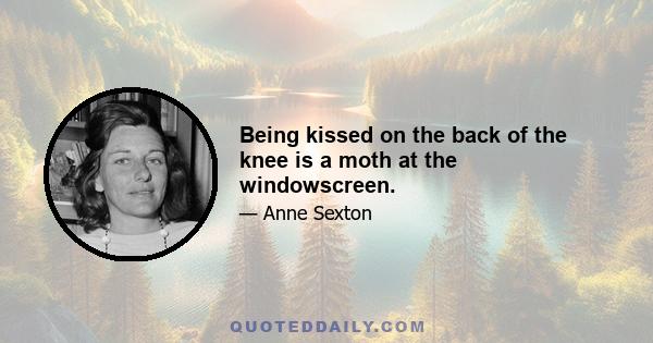 Being kissed on the back of the knee is a moth at the windowscreen.