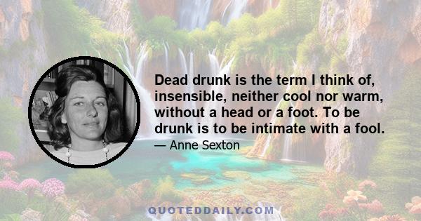 Dead drunk is the term I think of, insensible, neither cool nor warm, without a head or a foot. To be drunk is to be intimate with a fool.