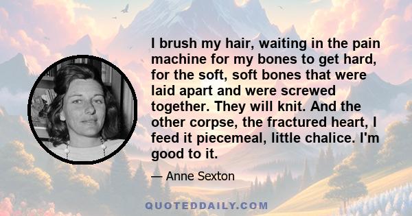 I brush my hair, waiting in the pain machine for my bones to get hard, for the soft, soft bones that were laid apart and were screwed together. They will knit. And the other corpse, the fractured heart, I feed it