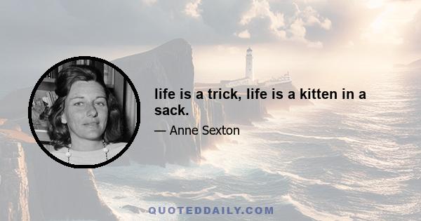 life is a trick, life is a kitten in a sack.