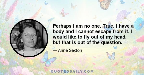 Perhaps I am no one. True, I have a body and I cannot escape from it. I would like to fly out of my head, but that is out of the question.