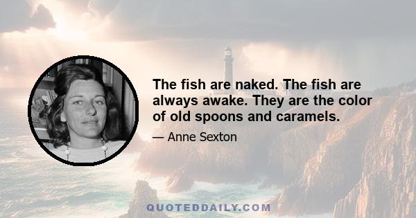 The fish are naked. The fish are always awake. They are the color of old spoons and caramels.