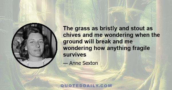 The grass as bristly and stout as chives and me wondering when the ground will break and me wondering how anything fragile survives