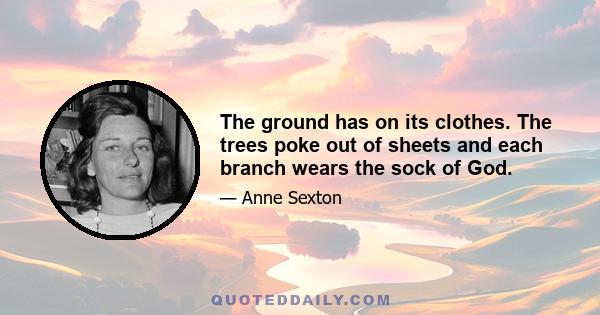 The ground has on its clothes. The trees poke out of sheets and each branch wears the sock of God.