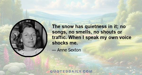 The snow has quietness in it; no songs, no smells, no shouts or traffic. When I speak my own voice shocks me.