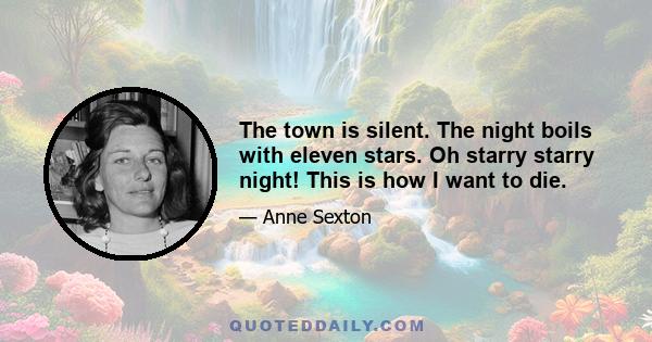 The town is silent. The night boils with eleven stars. Oh starry starry night! This is how I want to die.