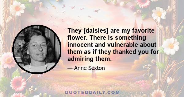 They [daisies] are my favorite flower. There is something innocent and vulnerable about them as if they thanked you for admiring them.