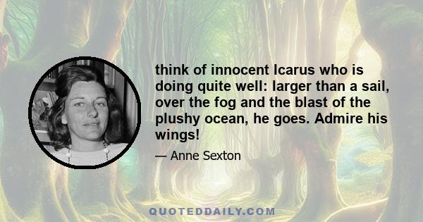 think of innocent Icarus who is doing quite well: larger than a sail, over the fog and the blast of the plushy ocean, he goes. Admire his wings!