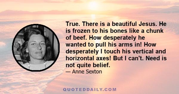 True. There is a beautiful Jesus. He is frozen to his bones like a chunk of beef. How desperately he wanted to pull his arms in! How desperately I touch his vertical and horizontal axes! But I can't. Need is not quite