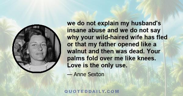 we do not explain my husband's insane abuse and we do not say why your wild-haired wife has fled or that my father opened like a walnut and then was dead. Your palms fold over me like knees. Love is the only use.