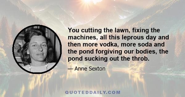 You cutting the lawn, fixing the machines, all this leprous day and then more vodka, more soda and the pond forgiving our bodies, the pond sucking out the throb.