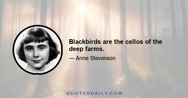 Blackbirds are the cellos of the deep farms.