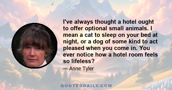 I've always thought a hotel ought to offer optional small animals. I mean a cat to sleep on your bed at night, or a dog of some kind to act pleased when you come in. You ever notice how a hotel room feels so lifeless?