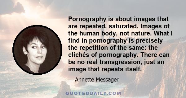 Pornography is about images that are repeated, saturated. Images of the human body, not nature. What I find in pornography is precisely the repetition of the same: the clichés of pornography. There can be no real