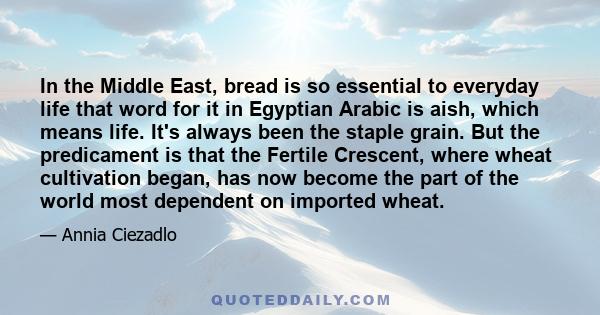 In the Middle East, bread is so essential to everyday life that word for it in Egyptian Arabic is aish, which means life. It's always been the staple grain. But the predicament is that the Fertile Crescent, where wheat