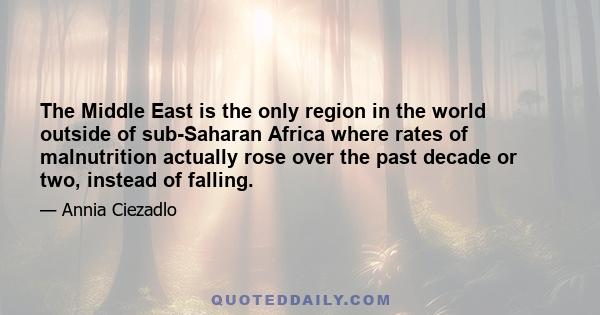 The Middle East is the only region in the world outside of sub-Saharan Africa where rates of malnutrition actually rose over the past decade or two, instead of falling.