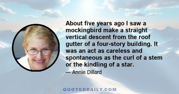 About five years ago I saw a mockingbird make a straight vertical descent from the roof gutter of a four-story building. It was an act as careless and spontaneous as the curl of a stem or the kindling of a star.