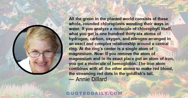 All the green in the planted world consists of these whole, rounded chloroplasts wending their ways in water. If you analyze a molecule of chlorophyll itself, what you get is one hundred thirty-six atoms of hydrogen,