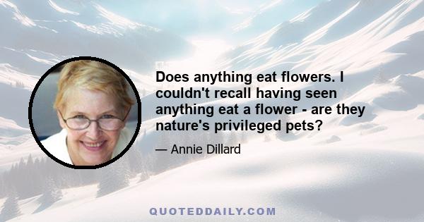 Does anything eat flowers. I couldn't recall having seen anything eat a flower - are they nature's privileged pets?