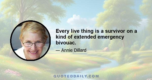 Every live thing is a survivor on a kind of extended emergency bivouac.