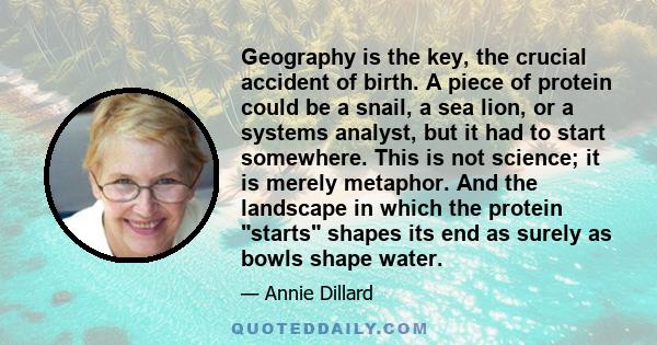 Geography is the key, the crucial accident of birth. A piece of protein could be a snail, a sea lion, or a systems analyst, but it had to start somewhere. This is not science; it is merely metaphor. And the landscape in 