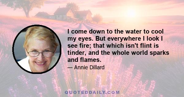 I come down to the water to cool my eyes. But everywhere I look I see fire; that which isn't flint is tinder, and the whole world sparks and flames.