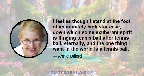 I feel as though I stand at the foot of an infinitely high staircase, down which some exuberant spirit is flinging tennis ball after tennis ball, eternally, and the one thing I want in the world is a tennis ball.