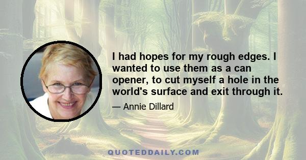 I had hopes for my rough edges. I wanted to use them as a can opener, to cut myself a hole in the world's surface and exit through it.