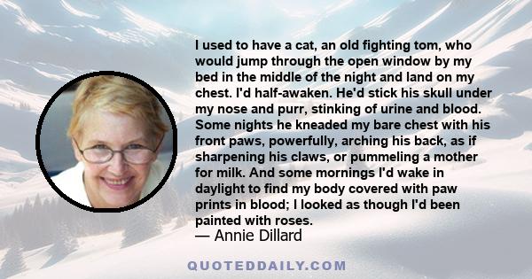 I used to have a cat, an old fighting tom, who would jump through the open window by my bed in the middle of the night and land on my chest. I'd half-awaken. He'd stick his skull under my nose and purr, stinking of