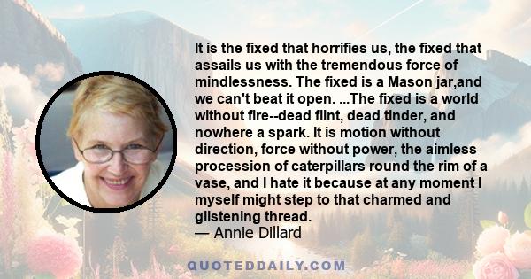 It is the fixed that horrifies us, the fixed that assails us with the tremendous force of mindlessness. The fixed is a Mason jar,and we can't beat it open. ...The fixed is a world without fire--dead flint, dead tinder,