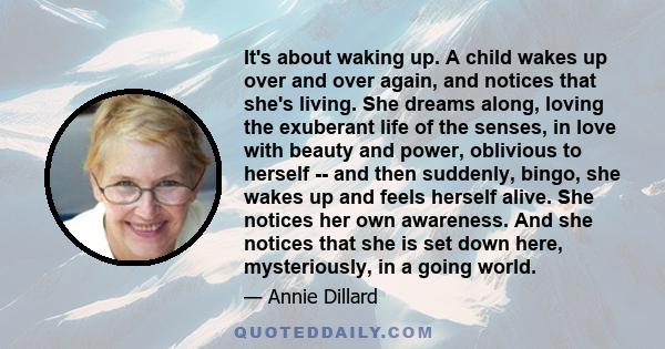 It's about waking up. A child wakes up over and over again, and notices that she's living. She dreams along, loving the exuberant life of the senses, in love with beauty and power, oblivious to herself -- and then